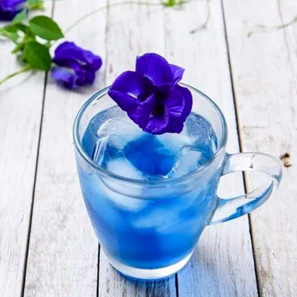 泰國蝶豆花特調